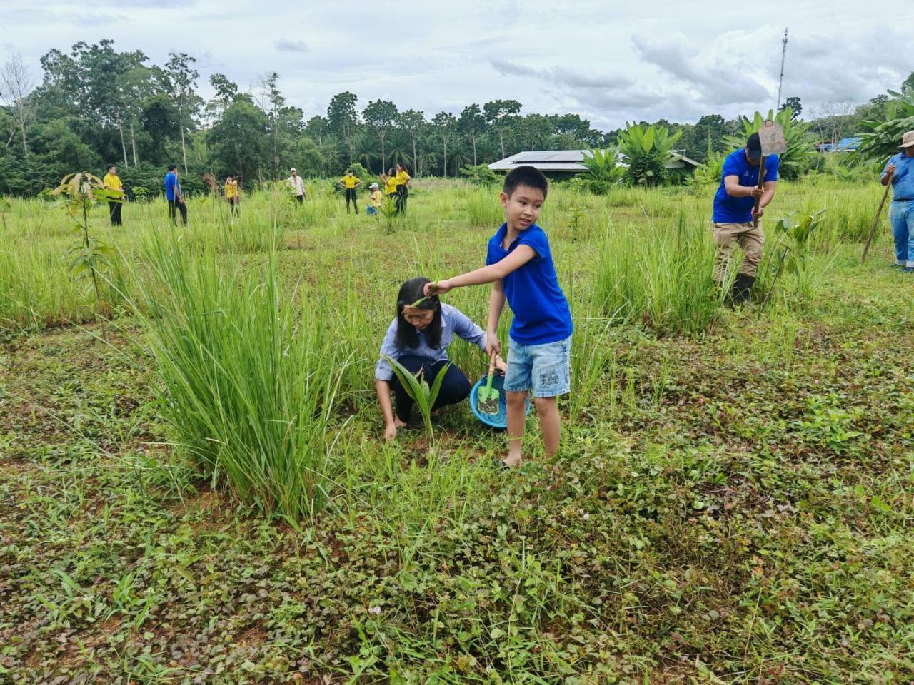 ภาพประกอบที่ 4