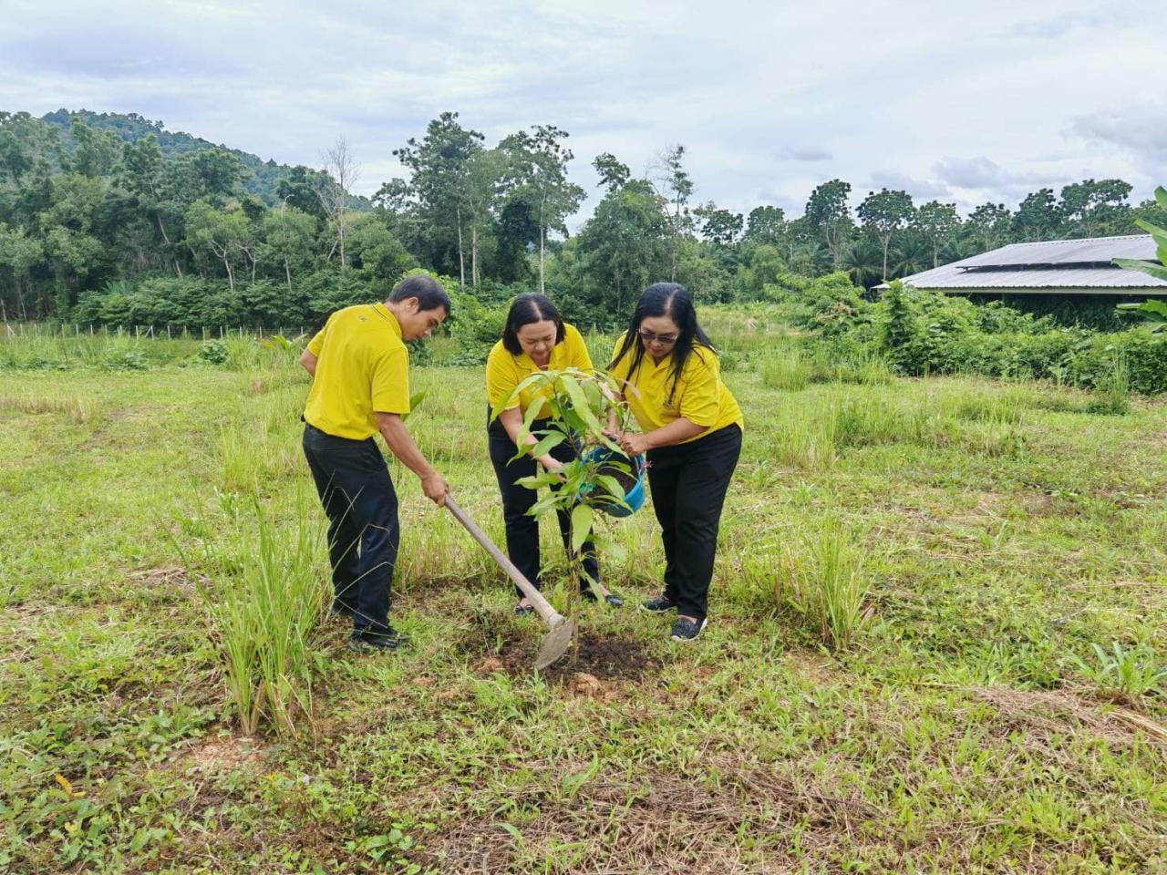 ภาพประกอบที่ 5