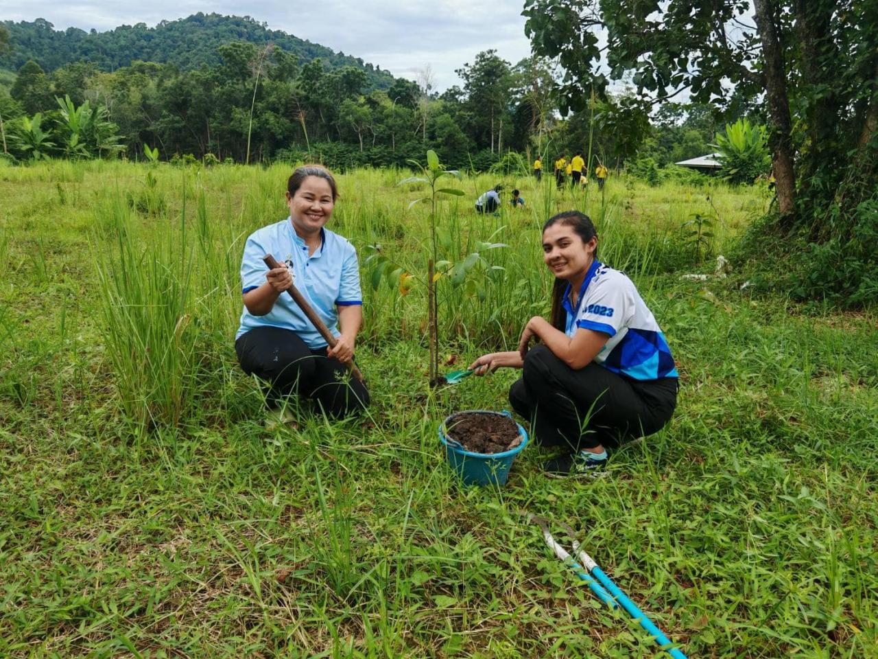 ภาพประกอบที่ 6