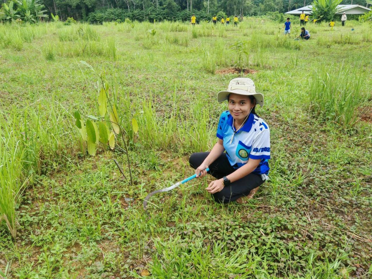ภาพประกอบที่ 7
