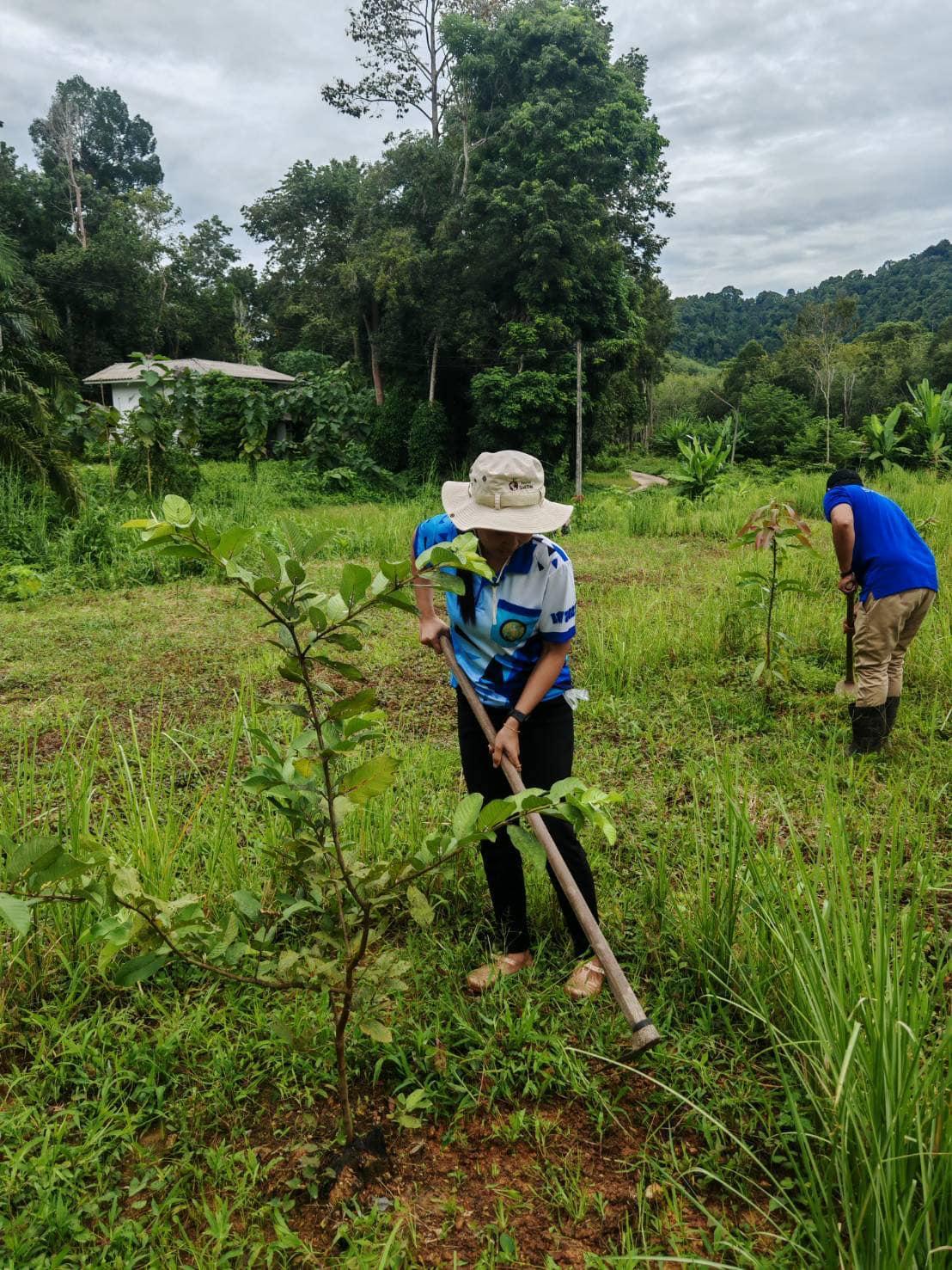 ภาพประกอบที่ 9