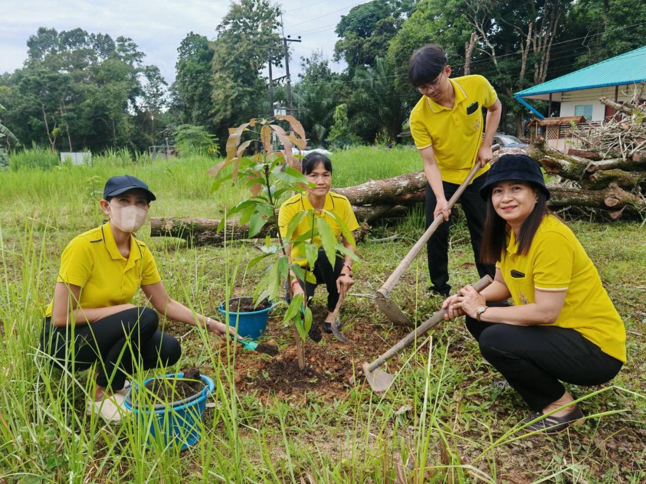 ภาพประกอบที่ 11