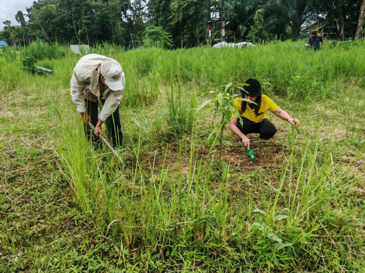 ภาพประกอบที่ 12