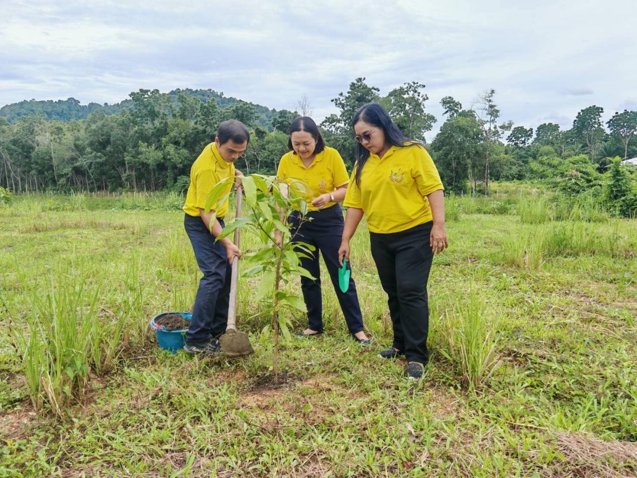 ภาพประกอบที่ 13