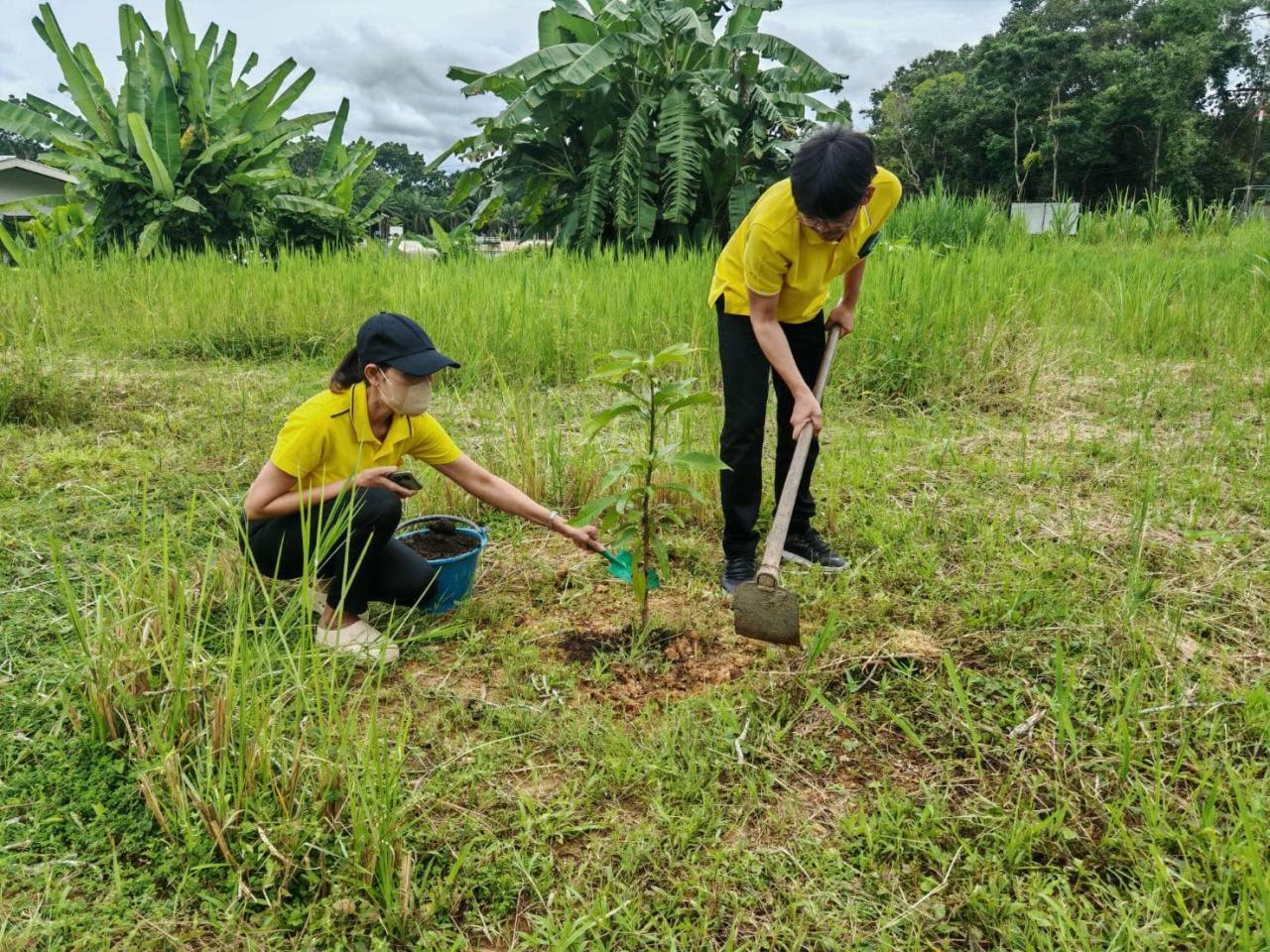 ภาพประกอบที่ 14