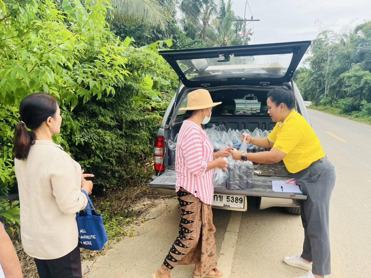 ภาพประกอบที่ 1