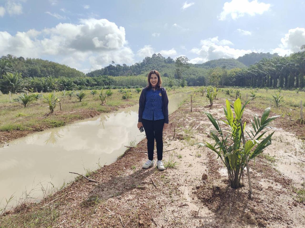 ภาพประกอบที่ 0