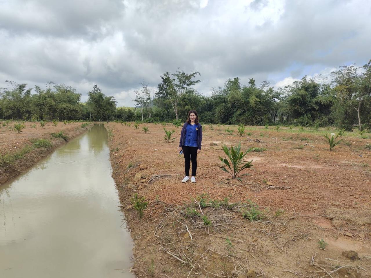 ภาพประกอบที่ 1