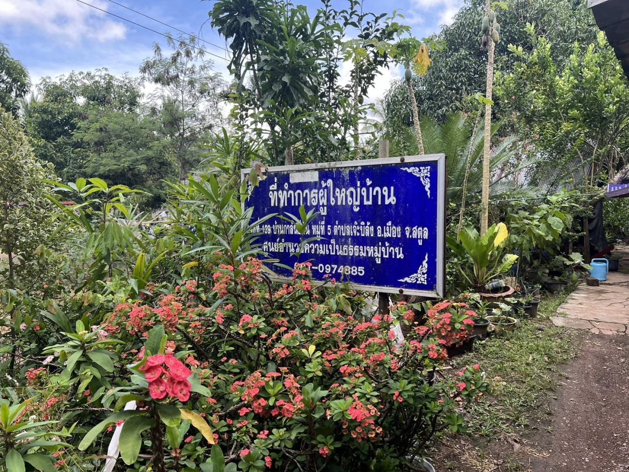 ภาพประกอบที่ 5