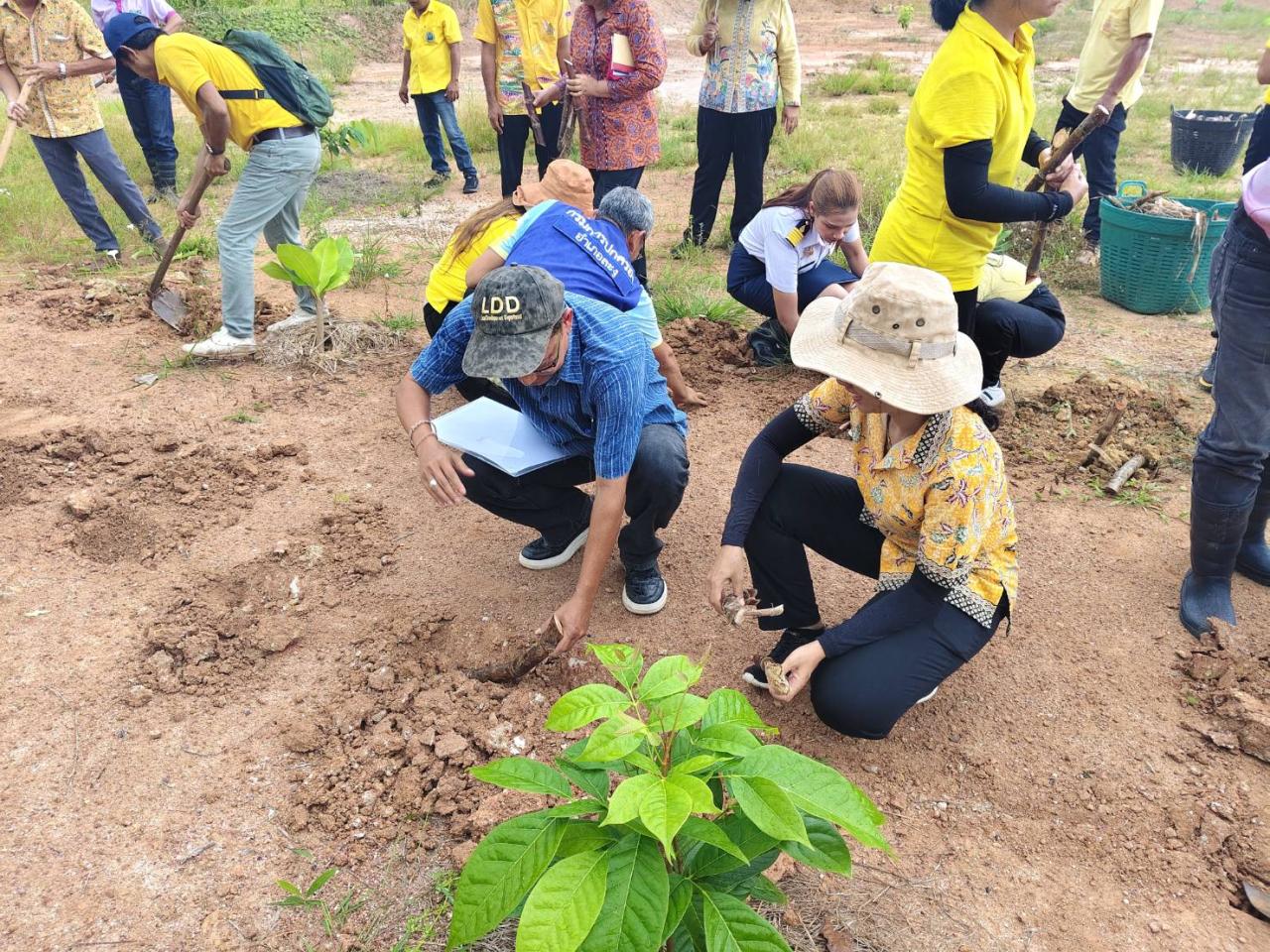 ภาพประกอบที่ 5
