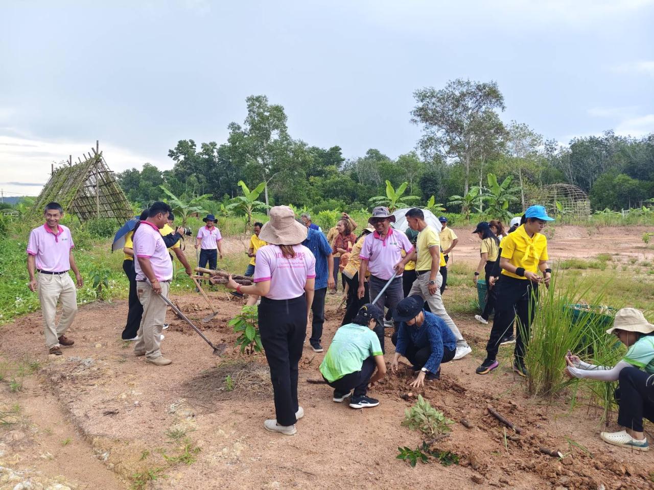 ภาพประกอบที่ 7