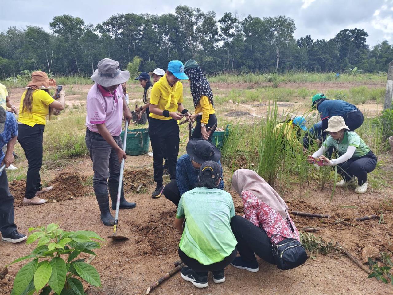 ภาพประกอบที่ 8