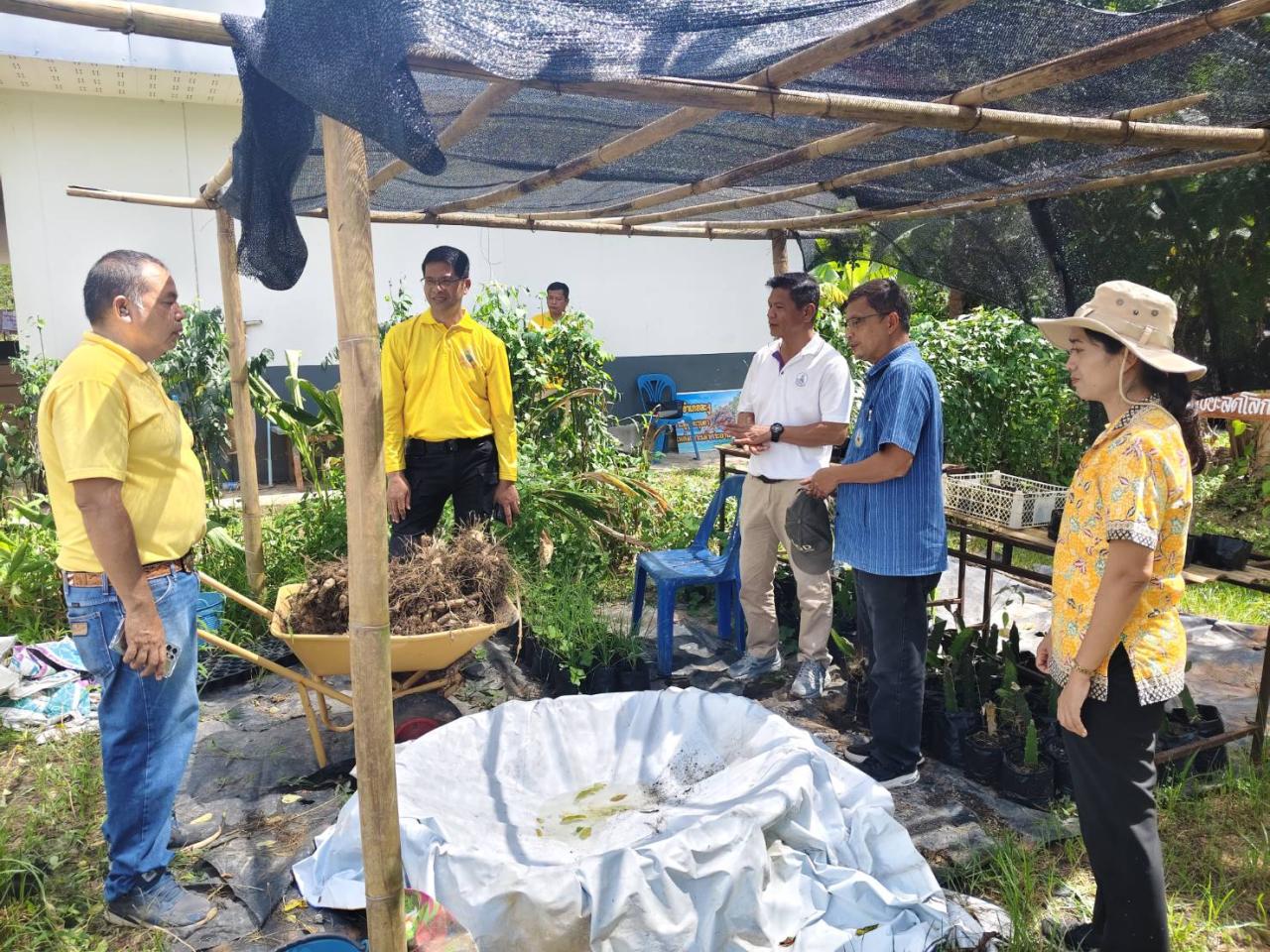 ภาพประกอบที่ 10