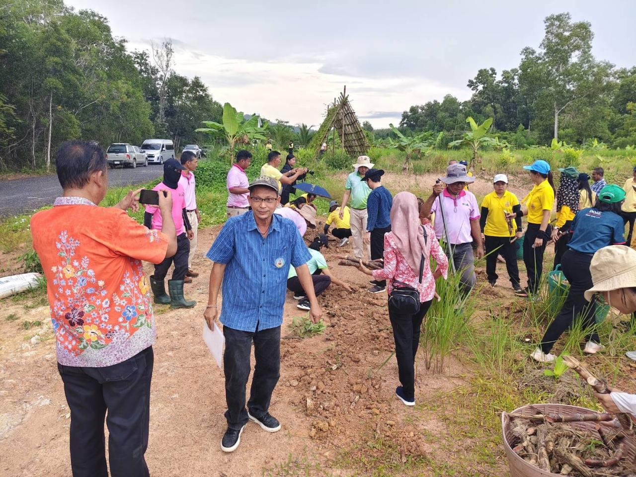ภาพประกอบที่ 11