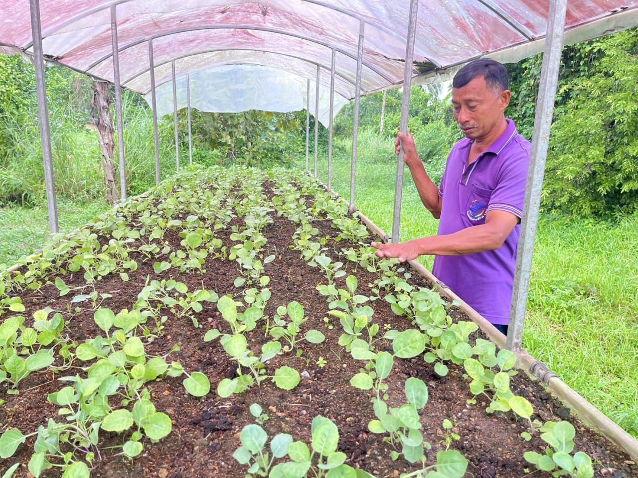 ภาพประกอบที่ 3