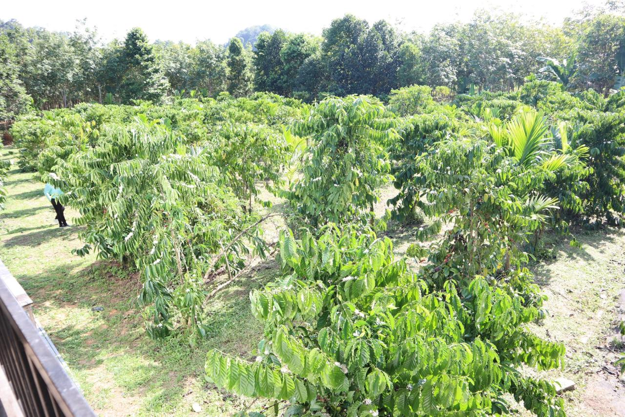 ภาพประกอบที่ 4