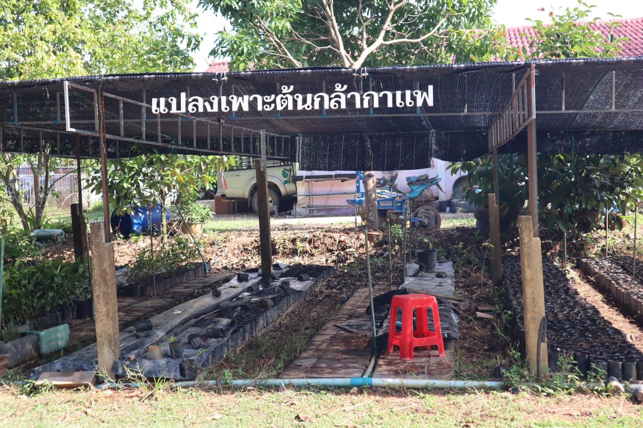 ภาพประกอบที่ 9