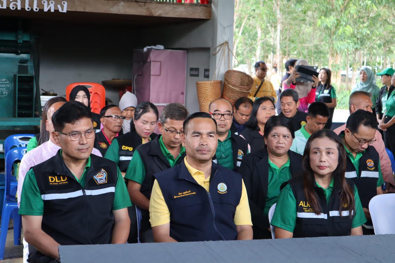 ภาพประกอบที่ 13