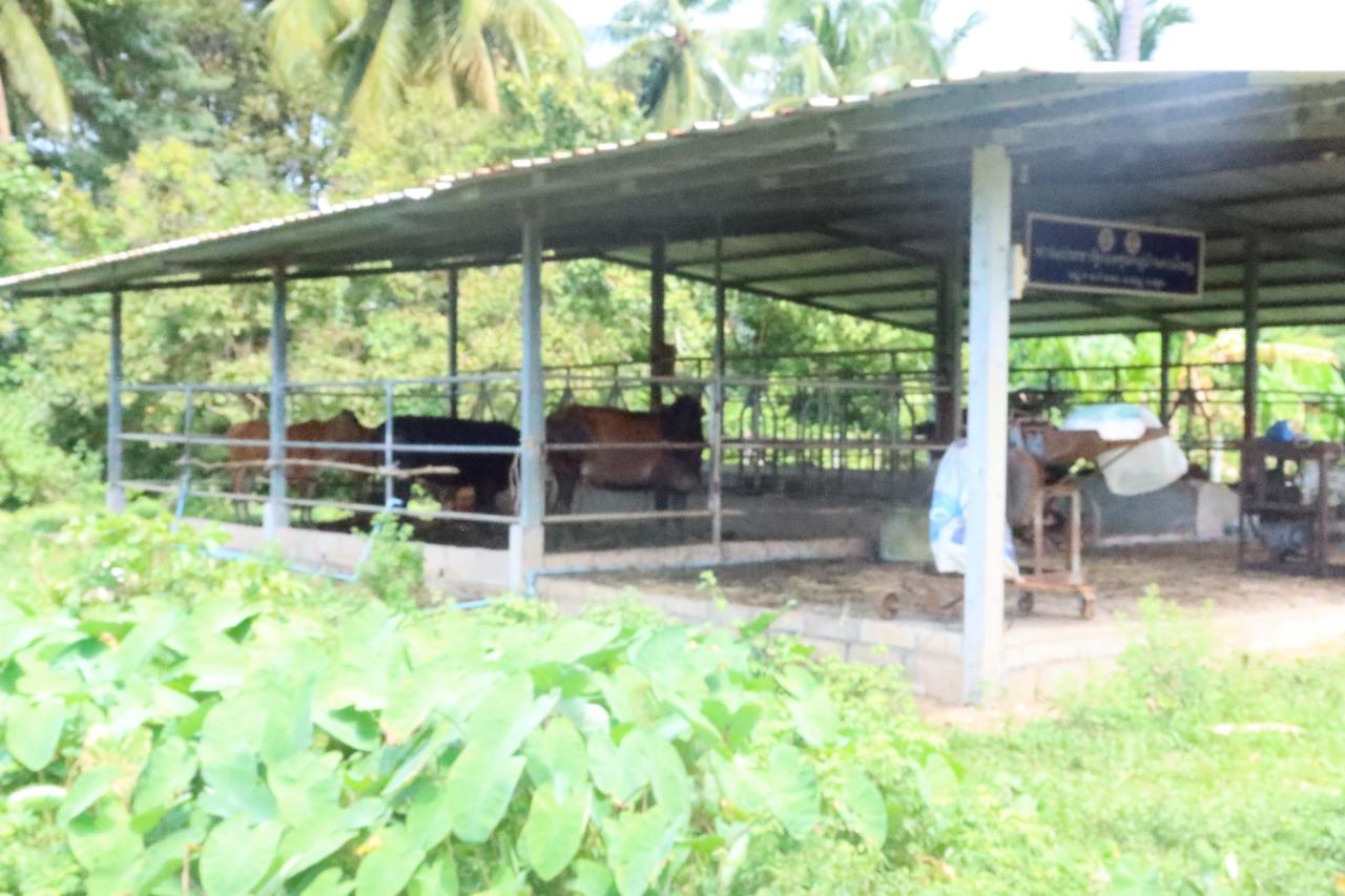 ภาพประกอบที่ 14