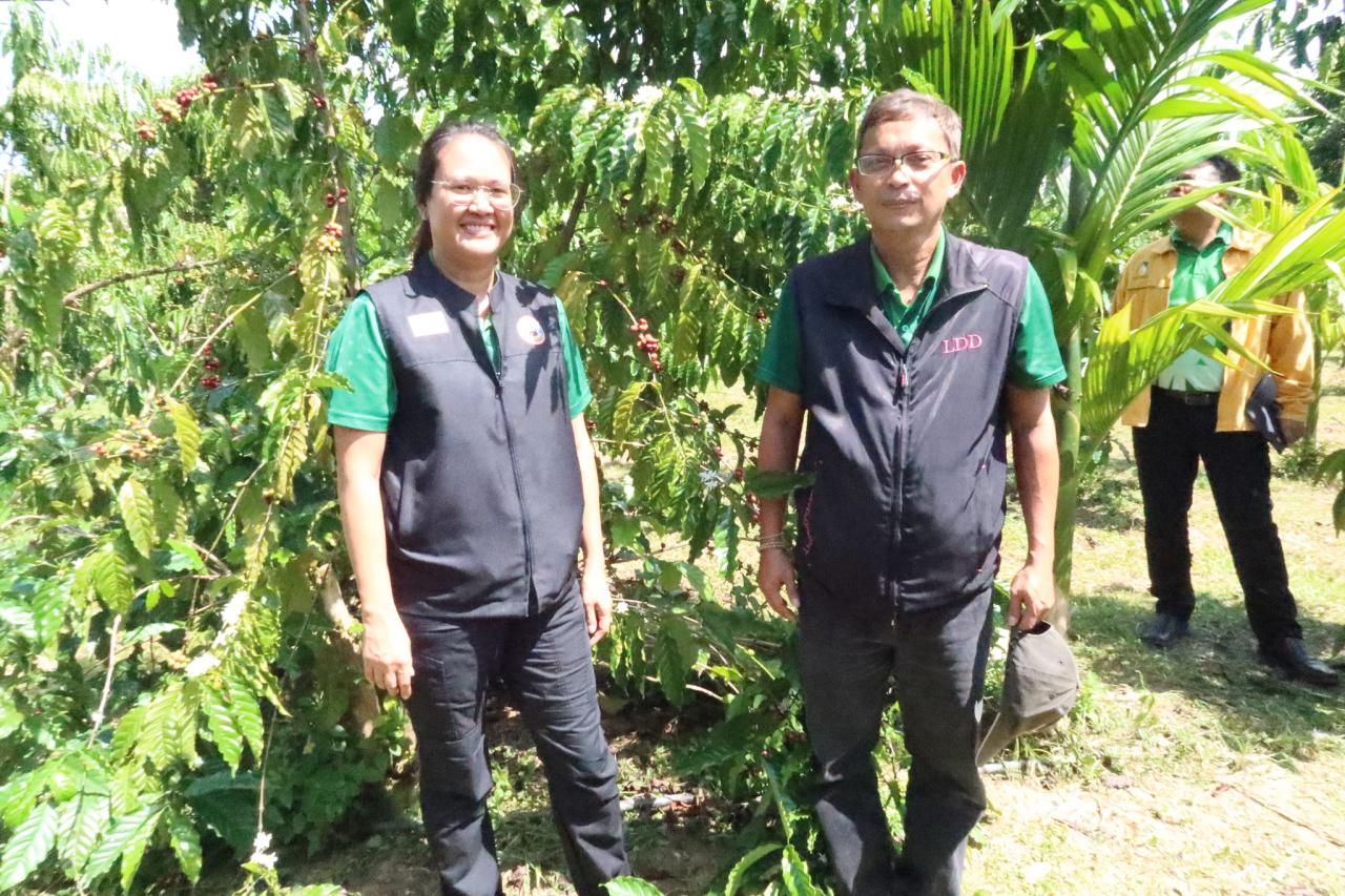 ภาพประกอบที่ 15