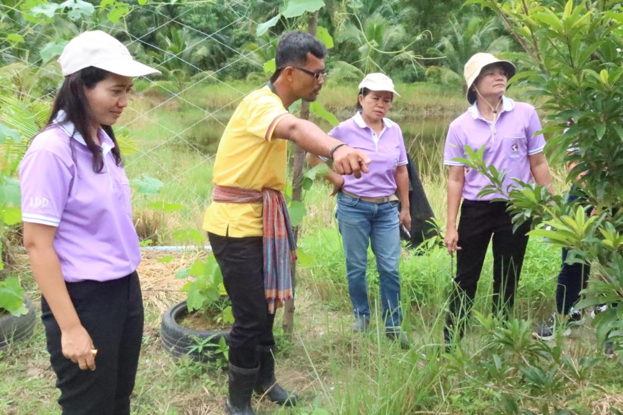 ภาพประกอบที่ 2
