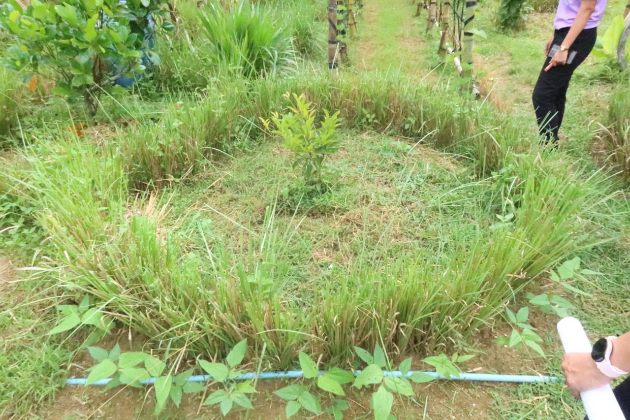 ภาพประกอบที่ 5