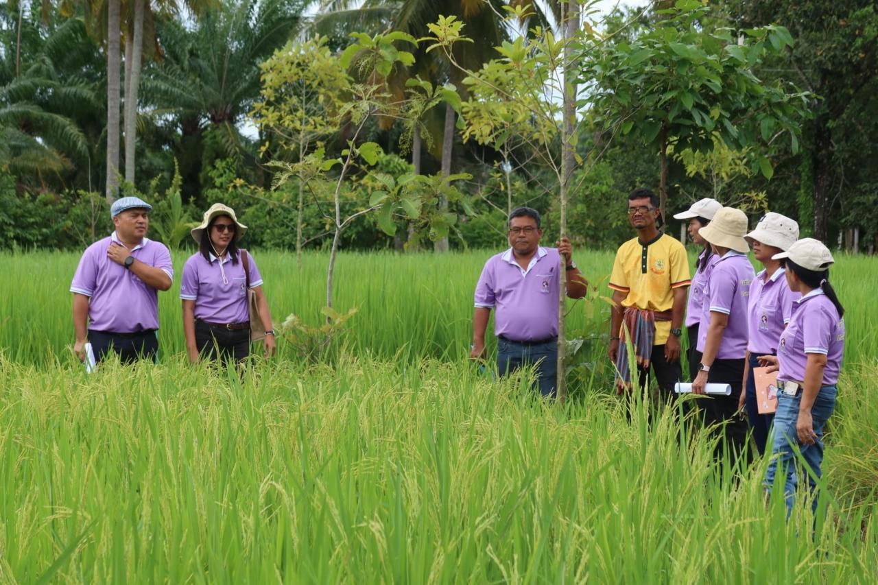 ภาพประกอบที่ 7