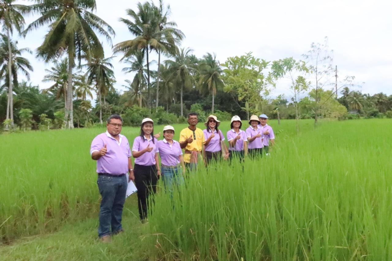 ภาพประกอบที่ 8
