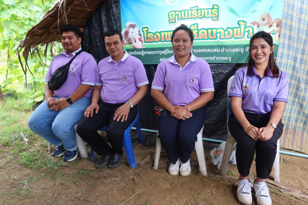 ภาพประกอบที่ 11