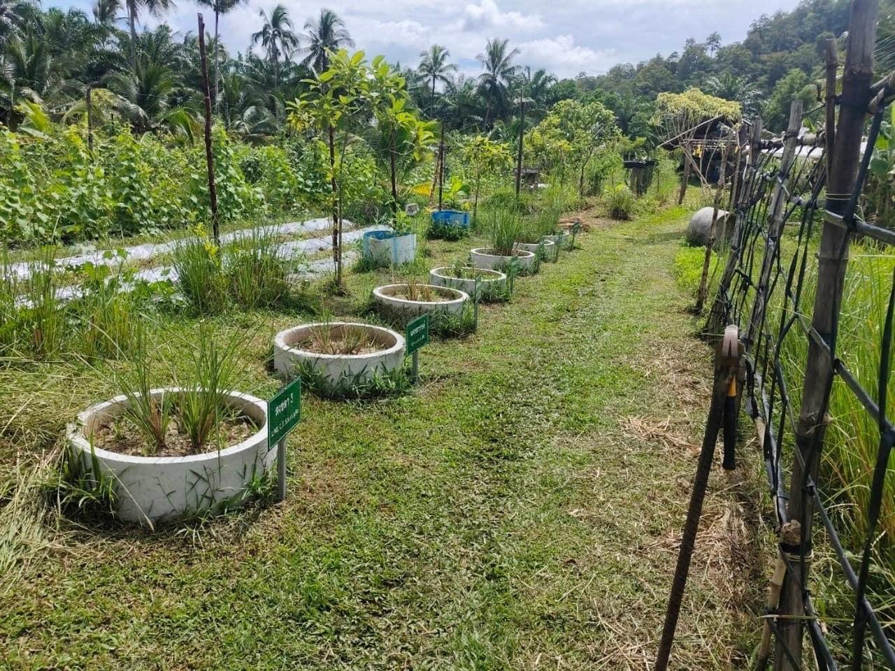 ภาพประกอบที่ 12