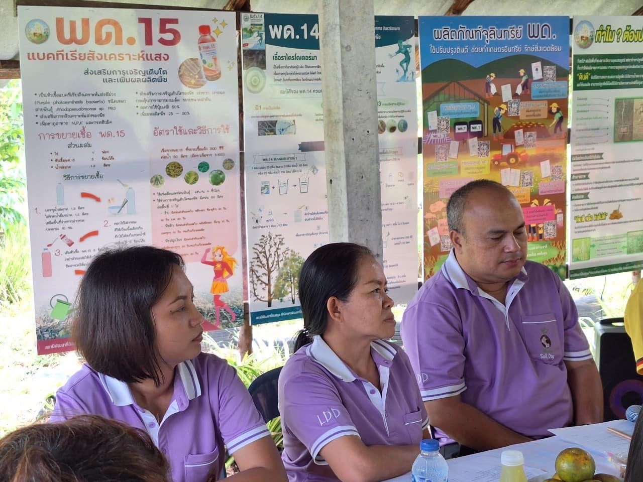 ภาพประกอบที่ 15