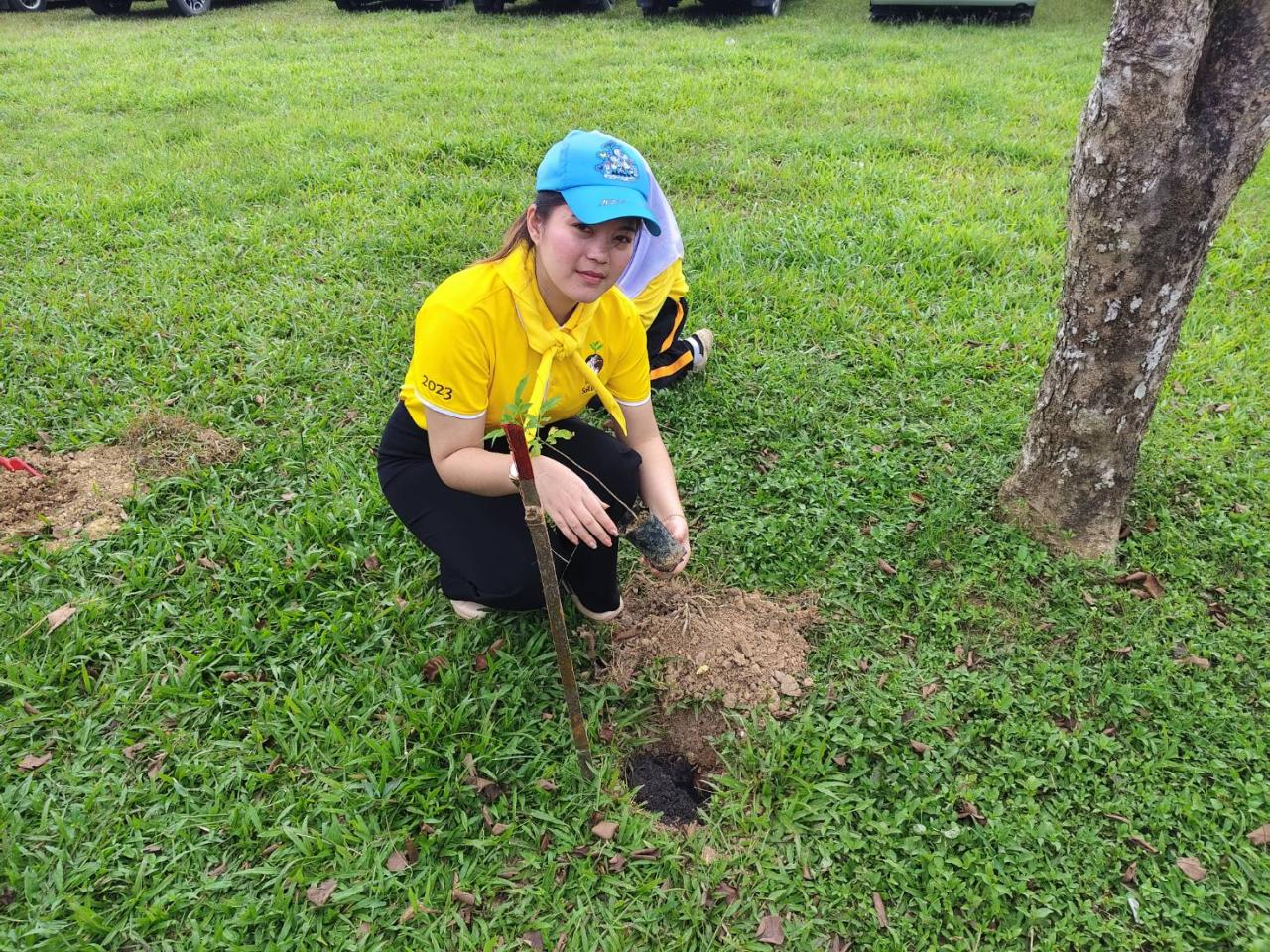ภาพประกอบที่ 4