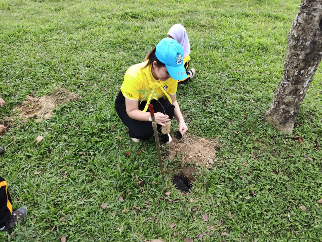 ภาพประกอบที่ 7