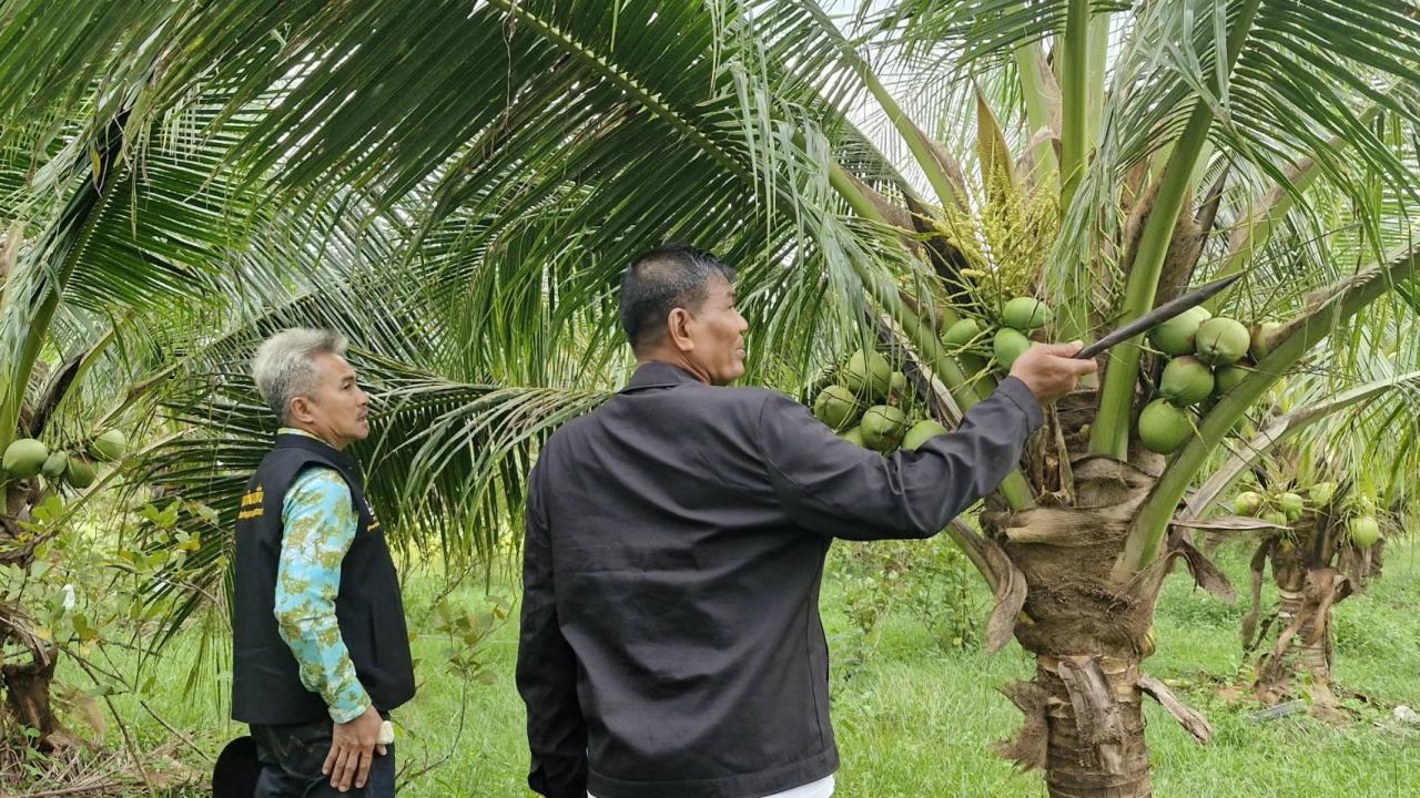 ภาพประกอบที่ 0