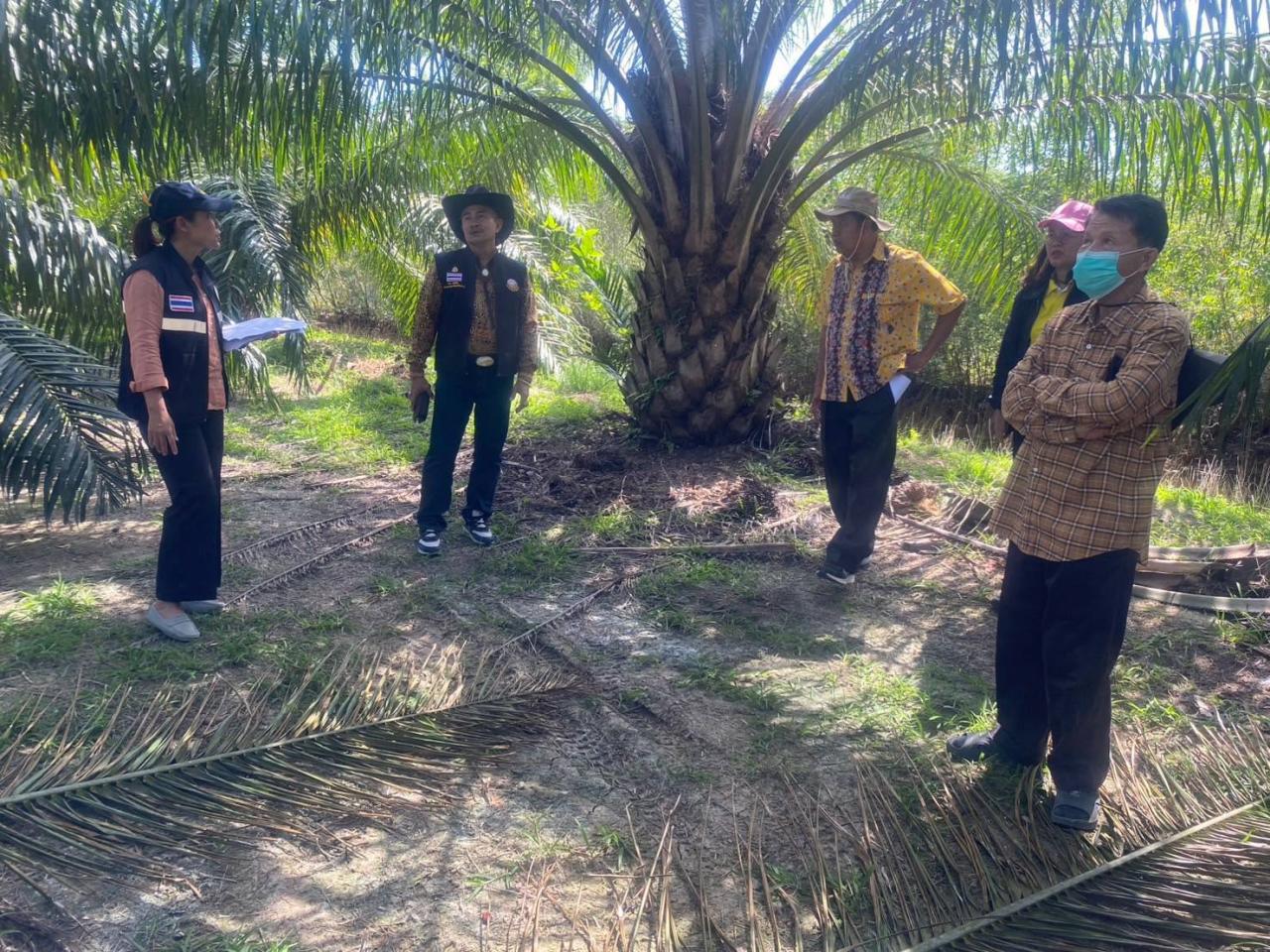 ภาพประกอบที่ 4