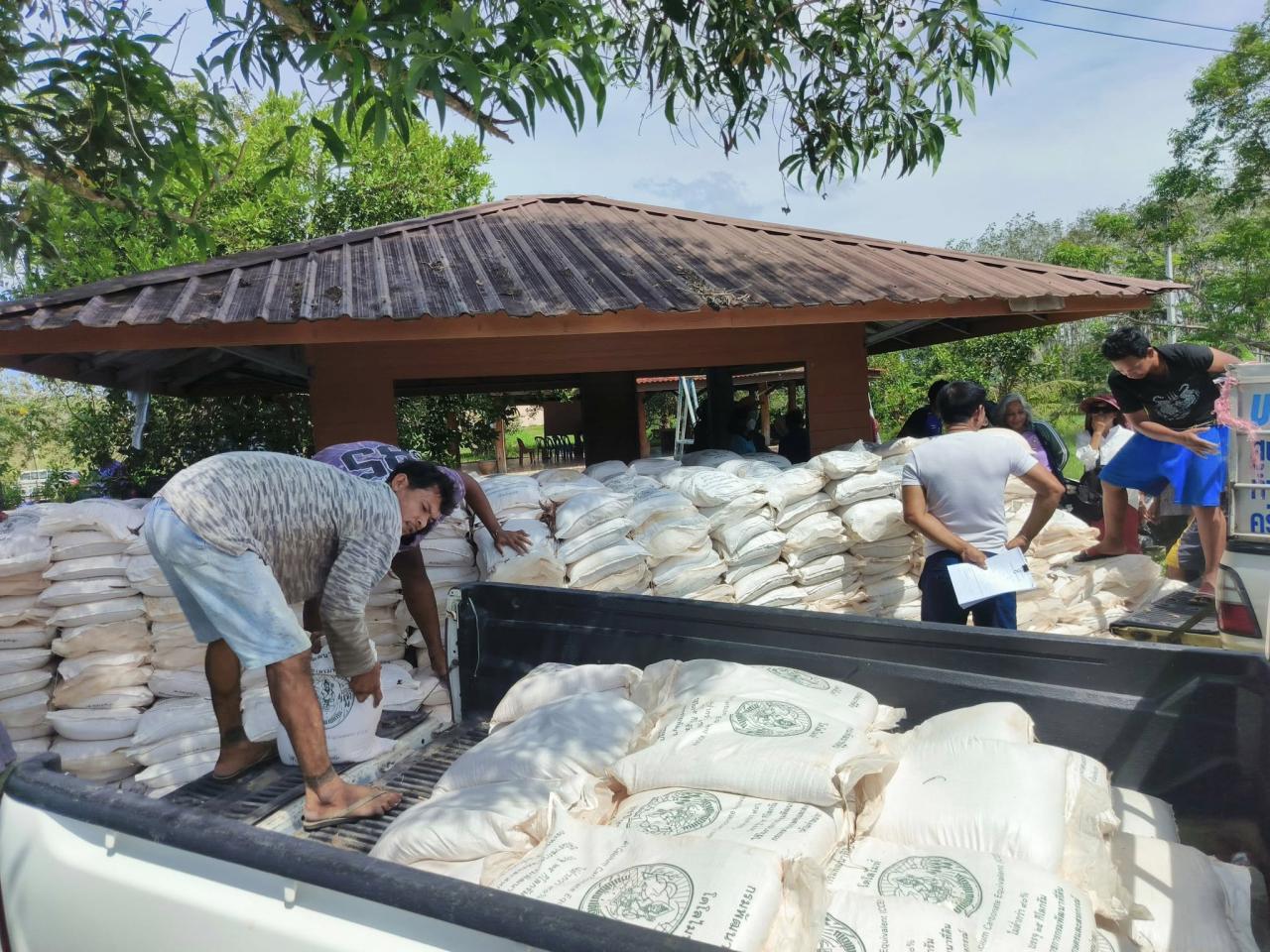 ภาพประกอบที่ 2