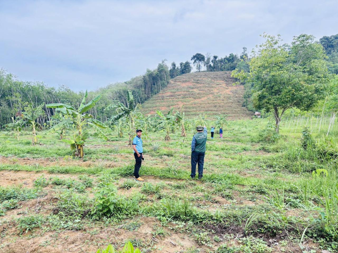 ภาพประกอบที่ 2
