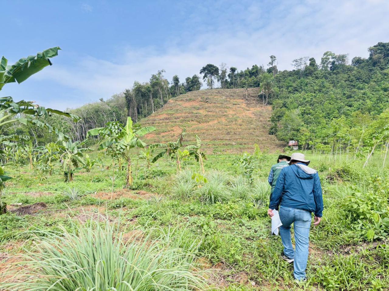 ภาพประกอบที่ 6