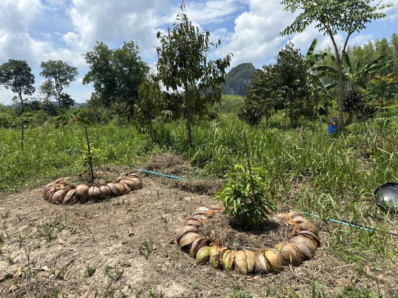 ภาพประกอบที่ 0