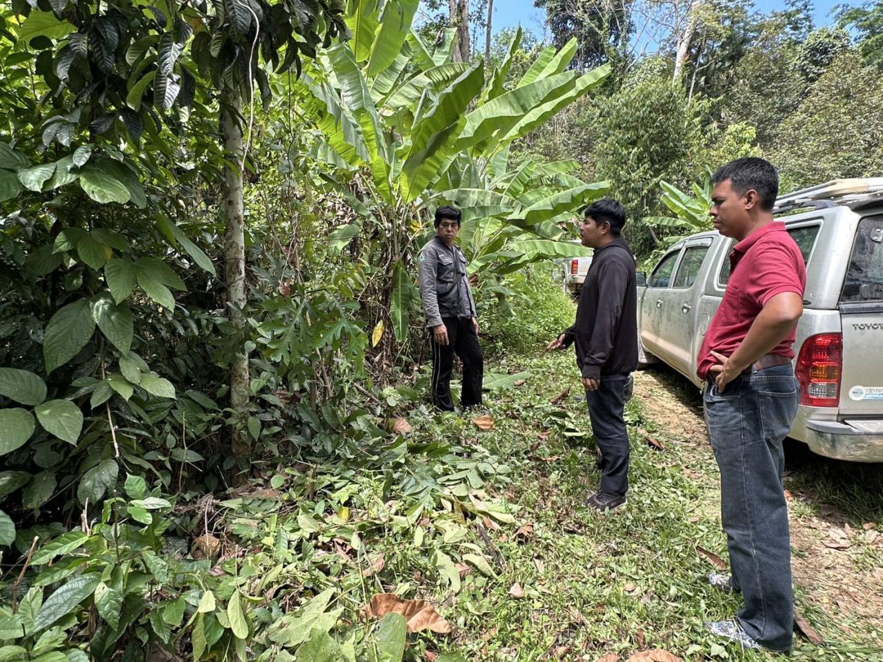 ภาพประกอบที่ 2