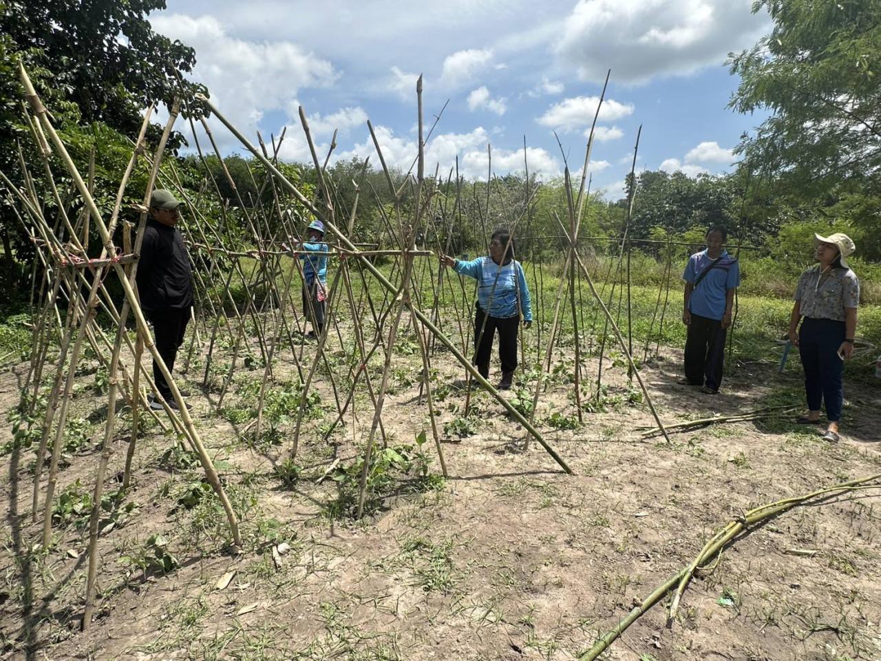 ภาพประกอบที่ 2