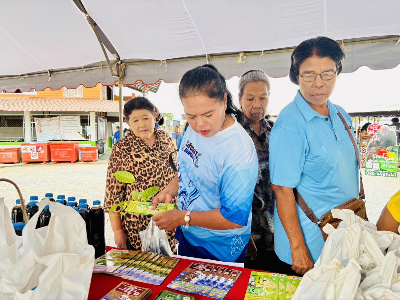 ภาพประกอบที่ 12