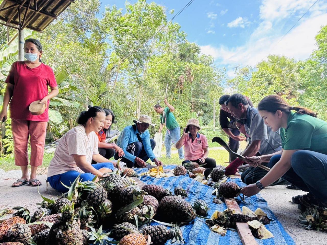 ภาพประกอบที่ 5