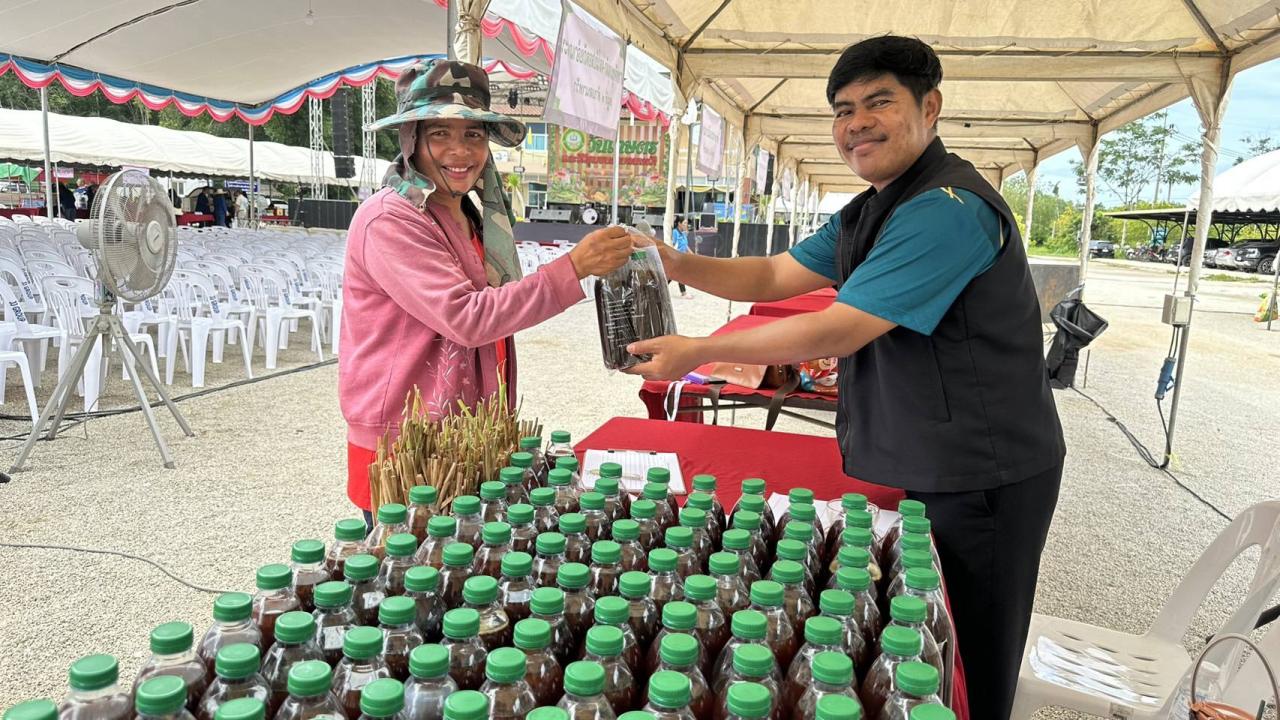 ภาพประกอบที่ 5