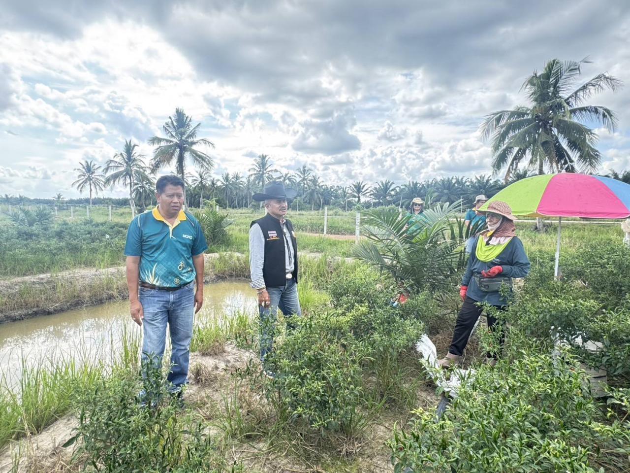 ภาพประกอบที่ 0