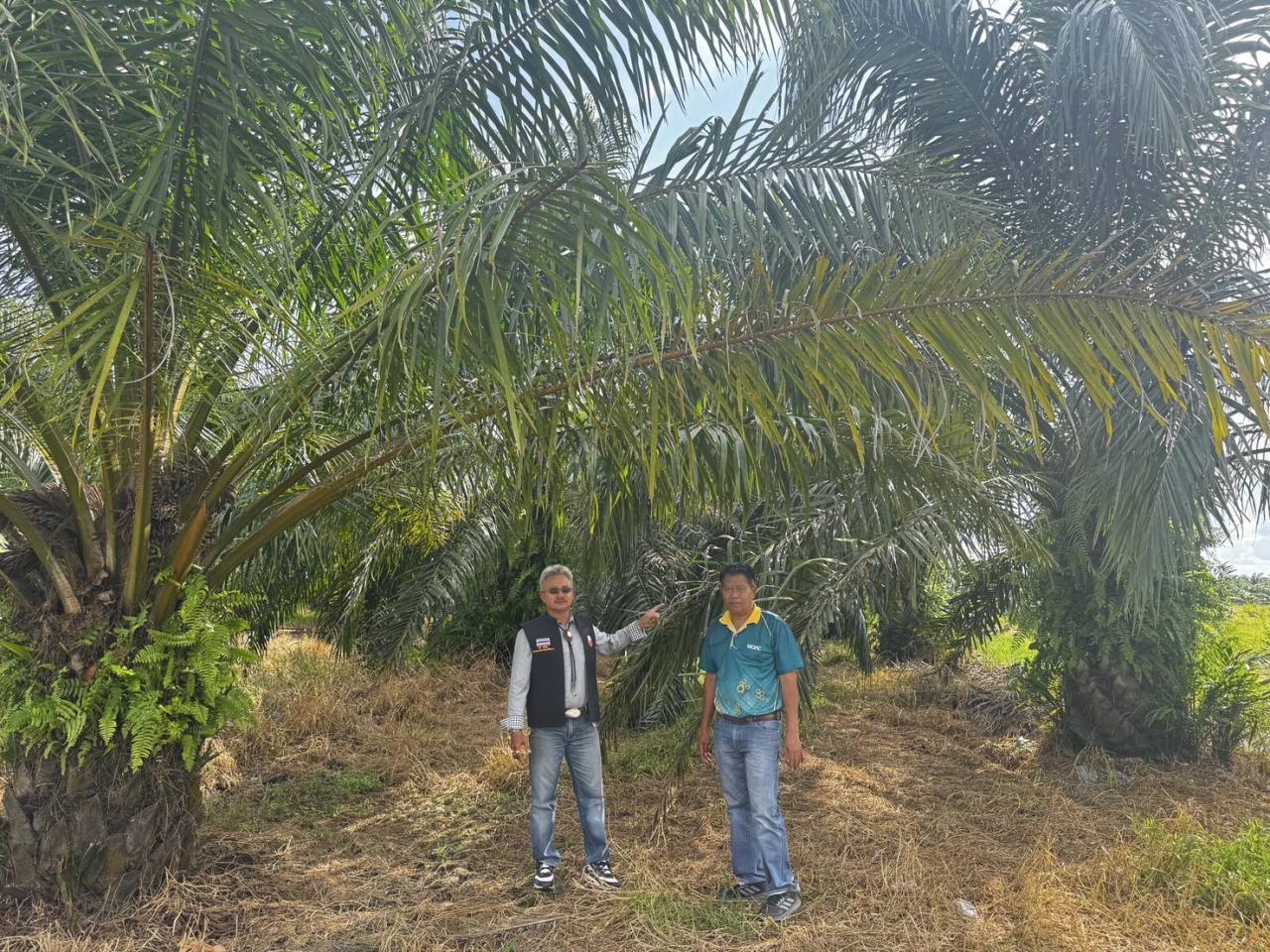 ภาพประกอบที่ 1