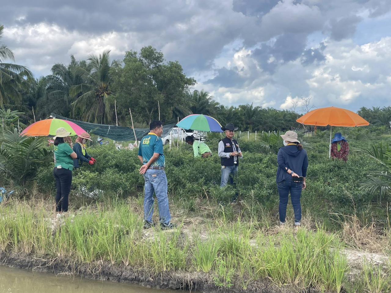 ภาพประกอบที่ 2