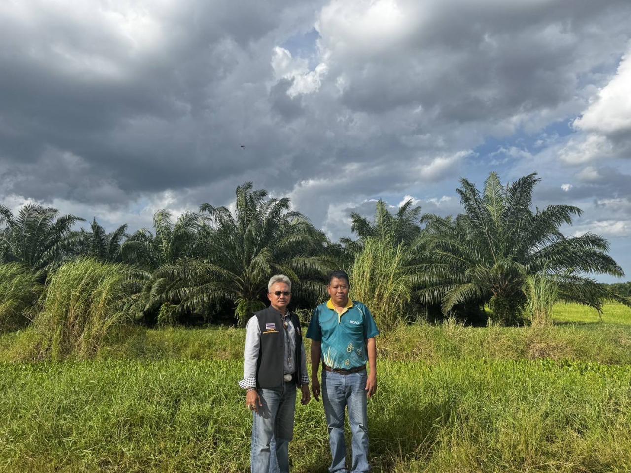 ภาพประกอบที่ 3