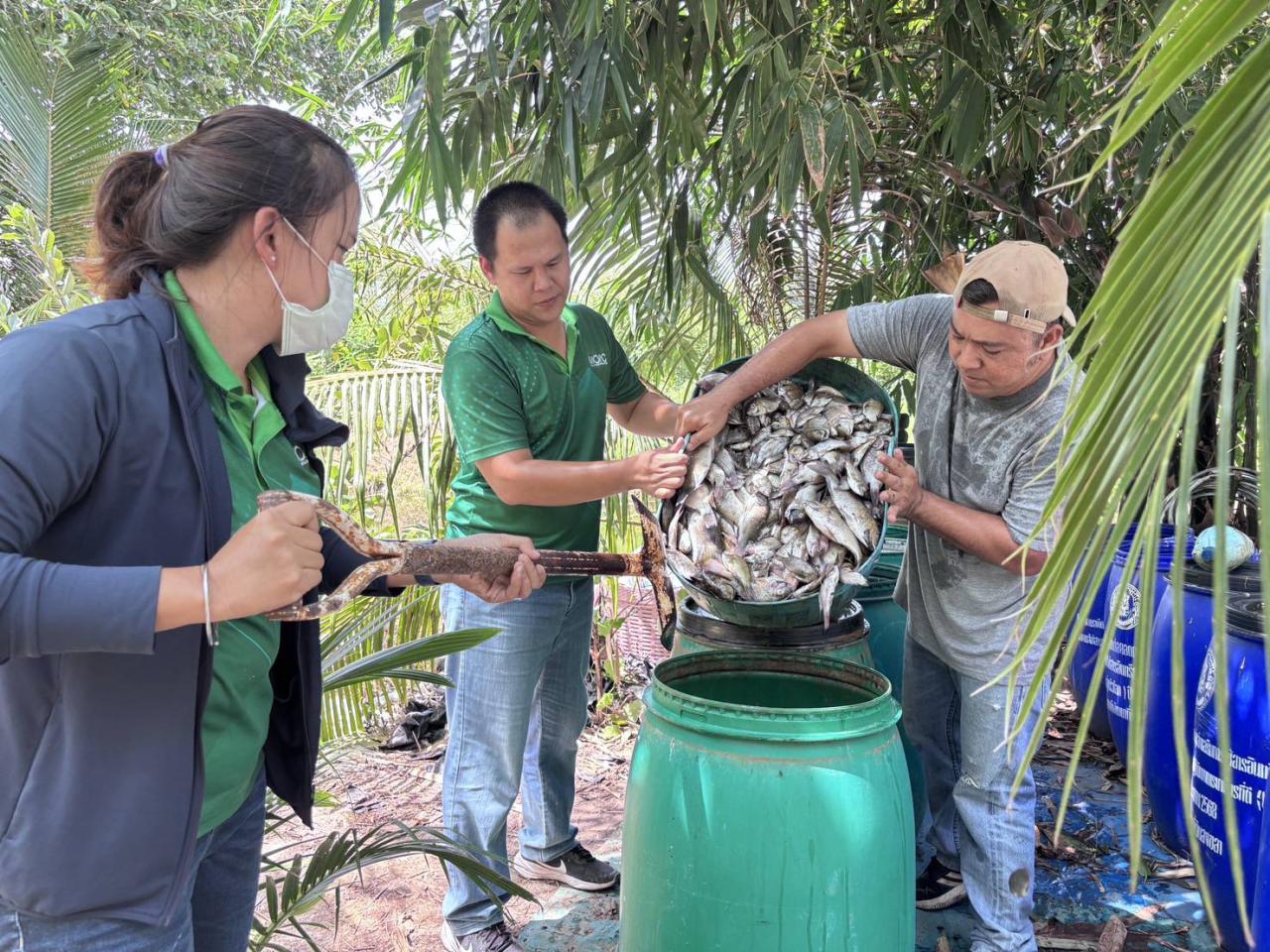 ภาพประกอบที่ 1
