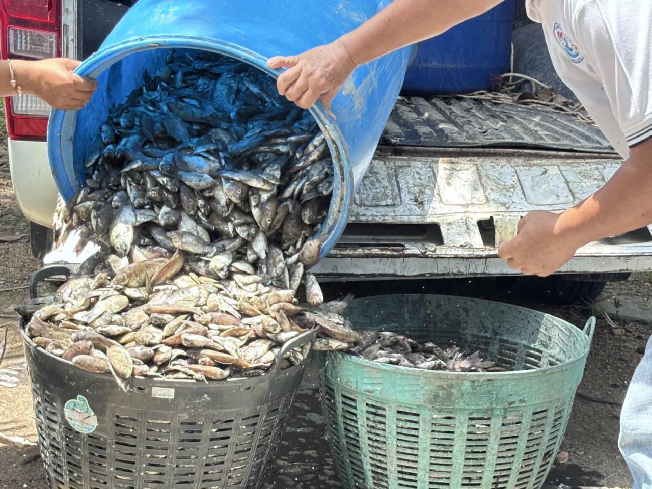 ภาพประกอบที่ 4